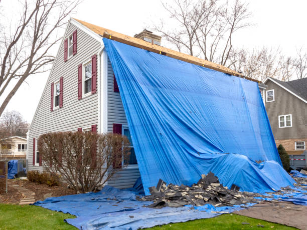 Best Attic Cleanout  in Starbuck, MN